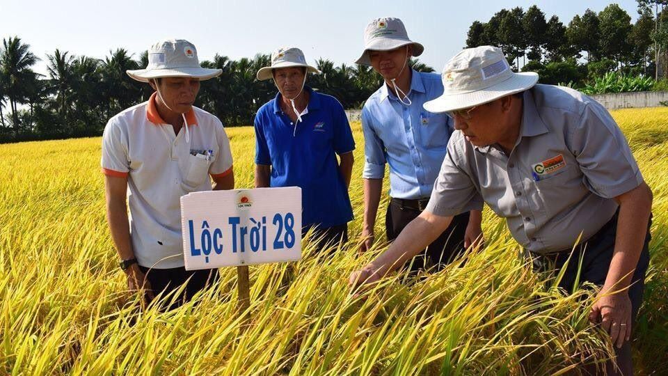 the rice trader chuc mung viet nam chien thang giai gao ngon nhat the gioi 2023 hinh 2